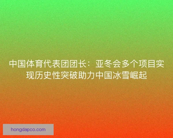 中国体育代表团团长：亚冬会多个项目实现历史性突破助力中国冰雪崛起